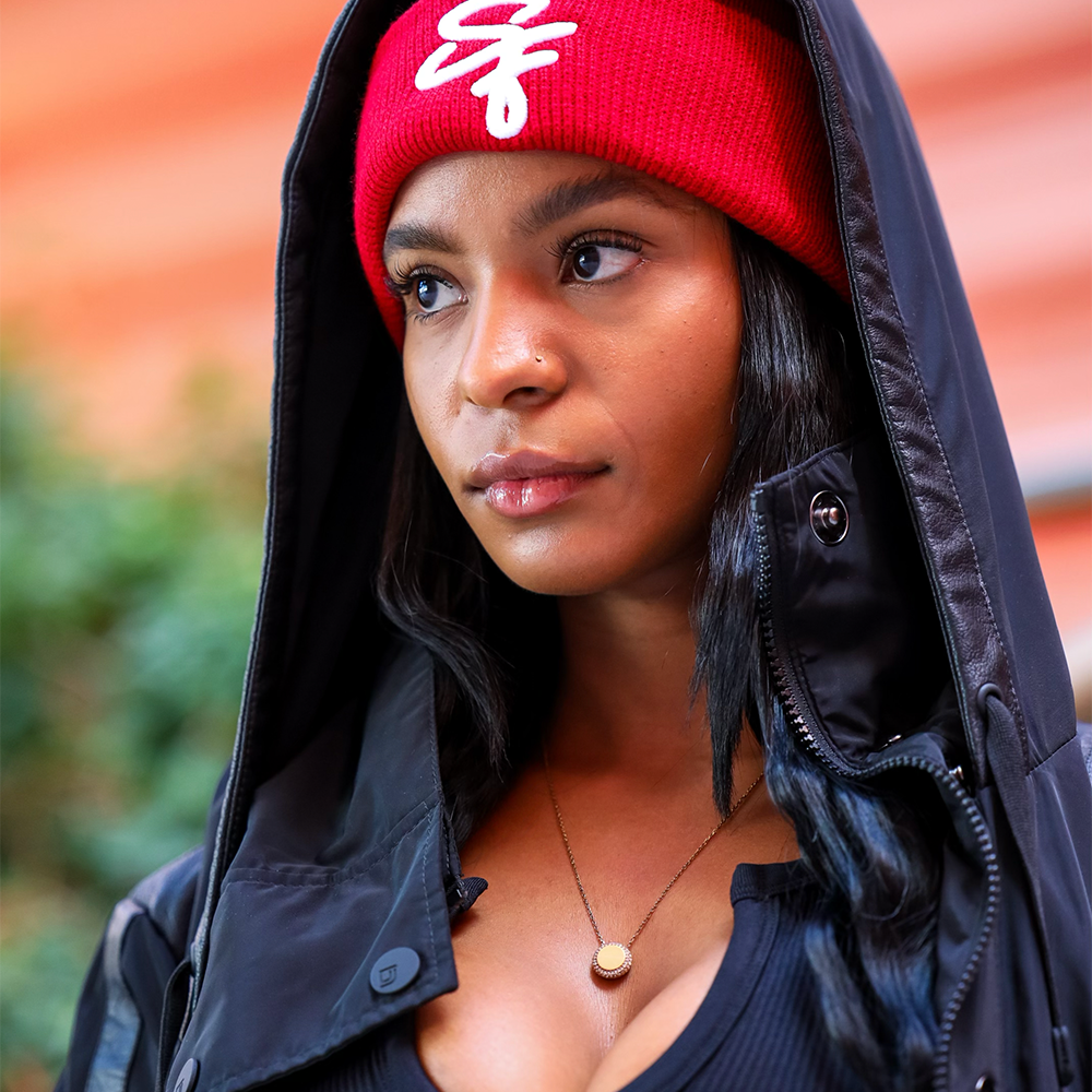 - THE MISSION BEANIE -