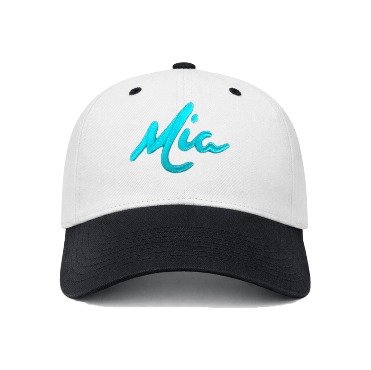 - THE FONTAINEBLEAU -