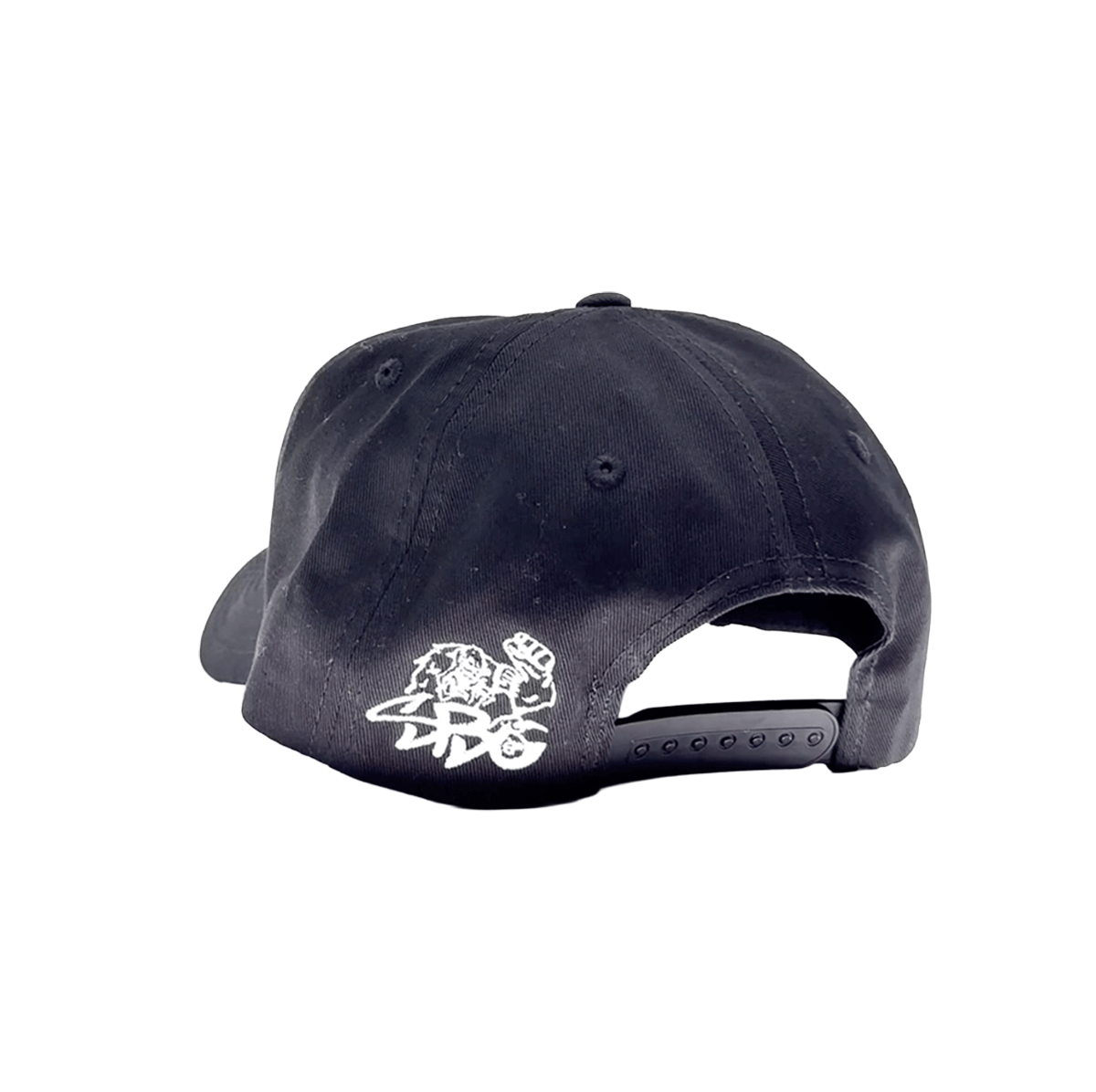 - THE SBG SF MIRROR BEACH "DAD" -